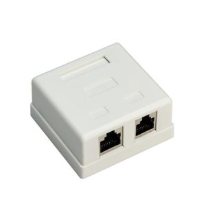 کیستون باکس کت 5E دو پورت پی نت پلاس کد 2493 - سیکاس کالا 098