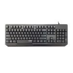 کیبورد رپو مدل N2210 ا Rapoo N2210 Keyboard کد 2586
