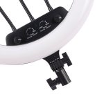 رینگ لایت مدل RL-14 ( بدون پایه ) — تصویر 2
